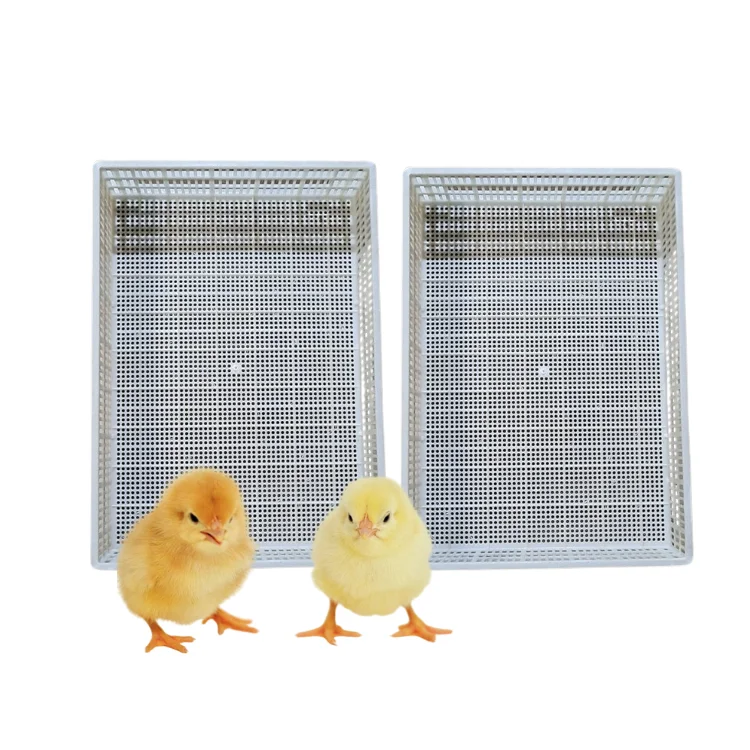 Plastic Slat Floor Roll Fast Delivery New Design For Duck Poultry Farming Equipment Customization Vietnam Manufacturer