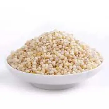 Get sorghum white For Both Human And Animal Needs