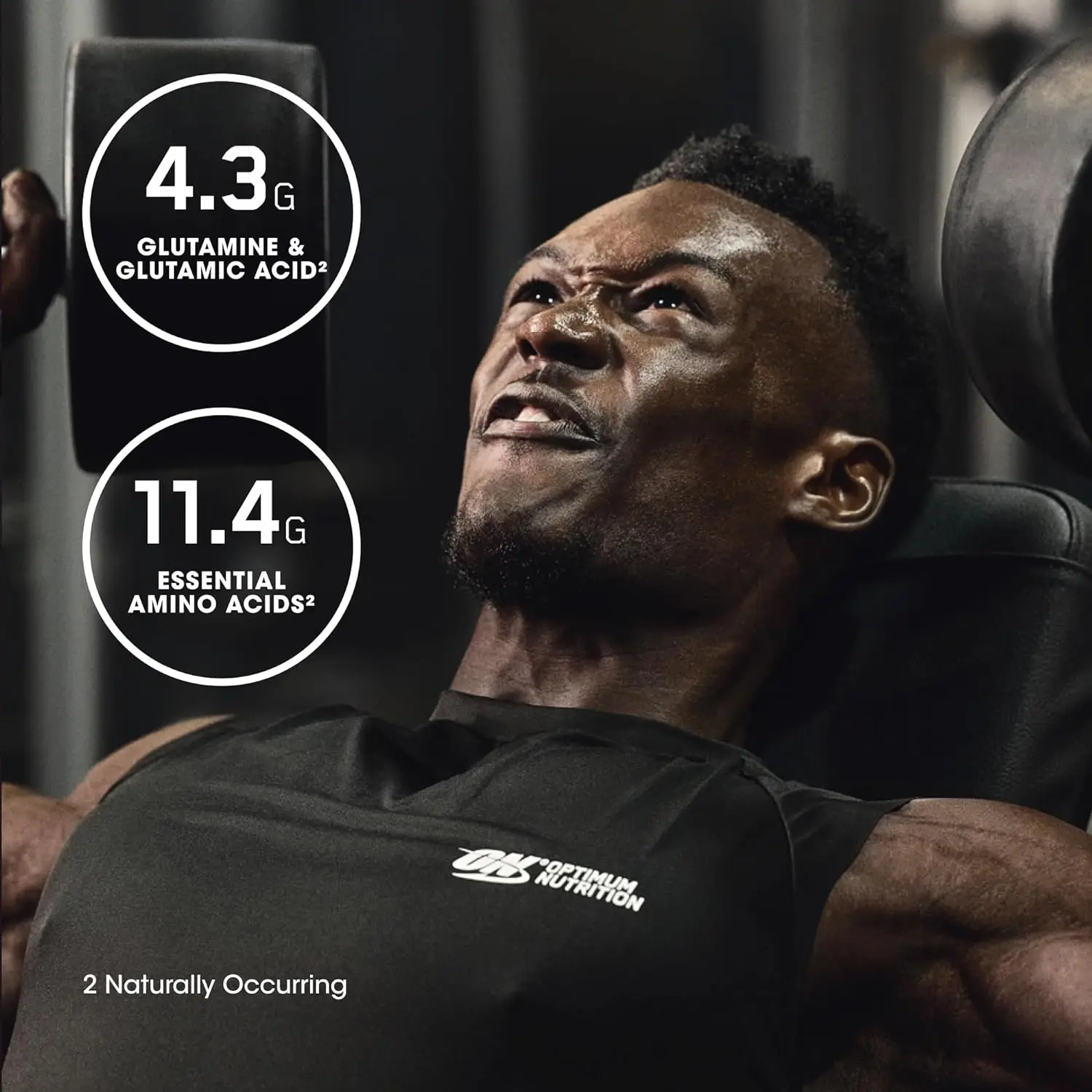 where to buy Gold Standard 100% Isolate, Chocolate Bliss, 3 Pounds, 44 Servings (Packaging May Vary) in bulk