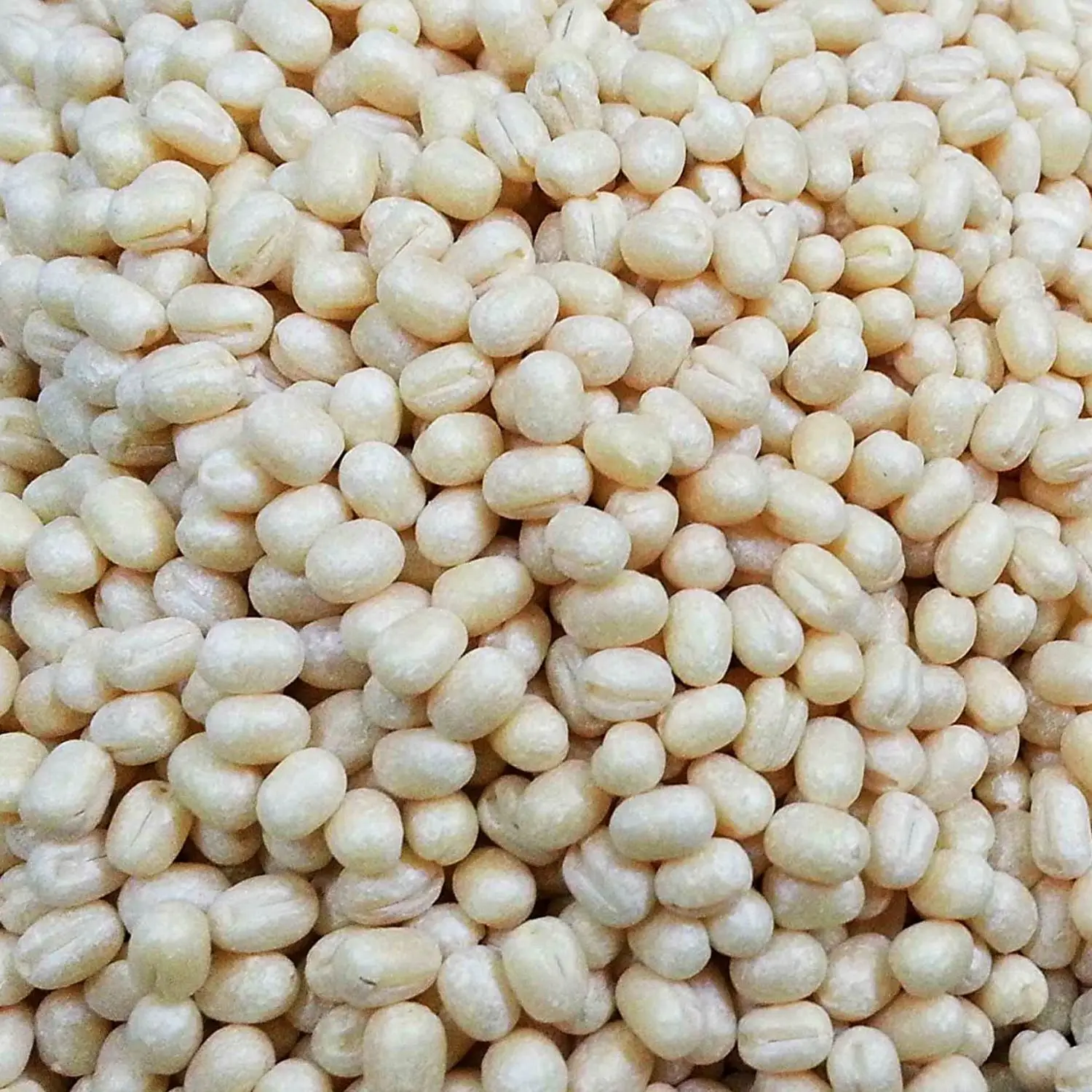 Белая Urad Dal оптовая