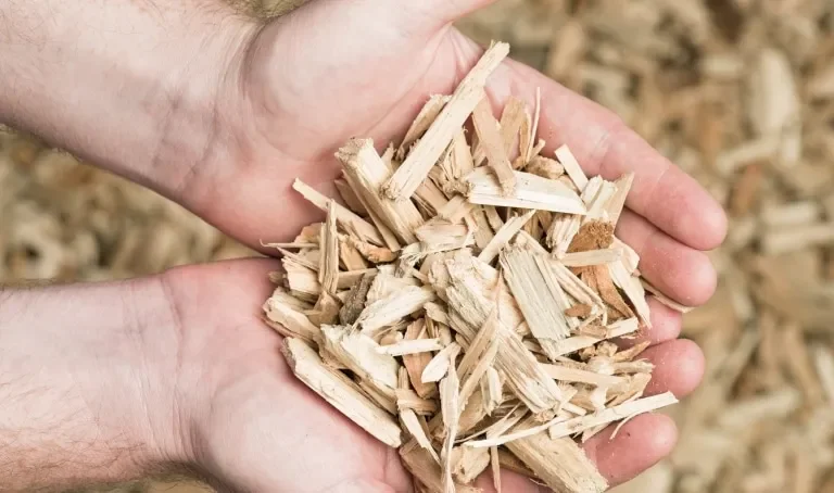 pine wood chips1.png