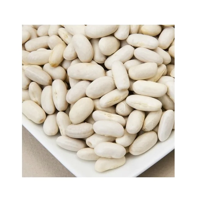 Cheap Wholesale Top Quality white kidney Beans In Bulk White Kidney Beans Hot Selling Organic Dry White Kidney Beans