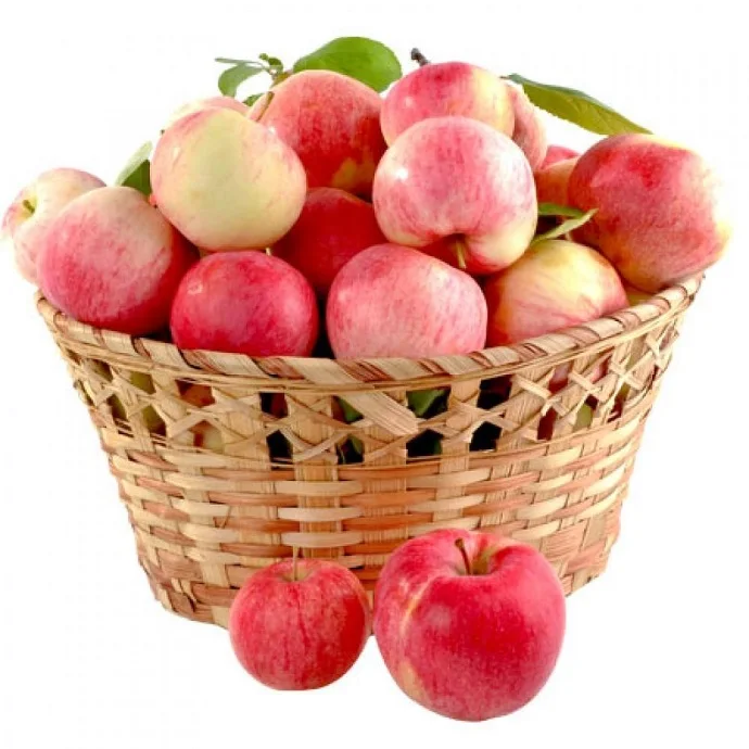 First Grade  Quality Fresh Gala Apples Available for Sale