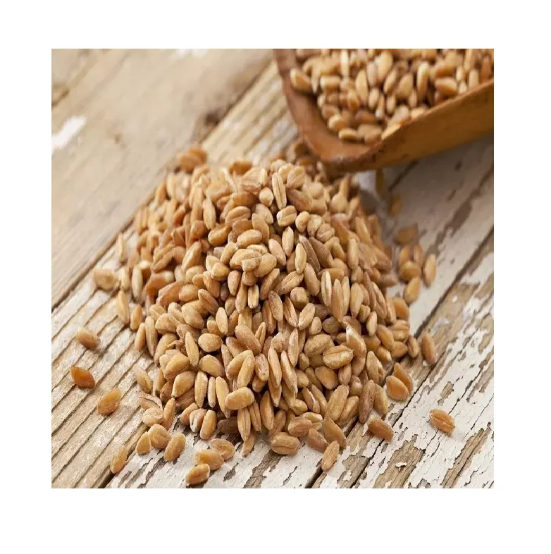 Высококачественное Ячменное Зерно для экспорта, ячмень солода