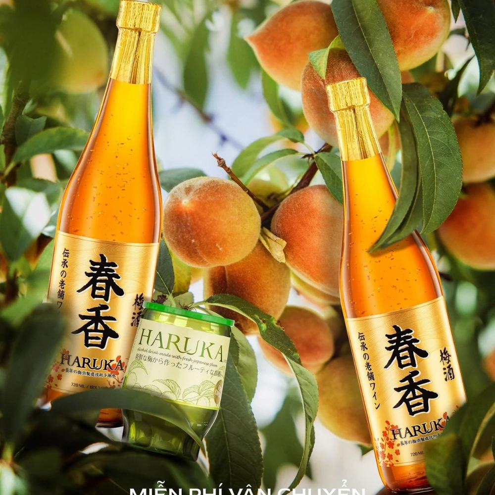 Haruka Apricot Wine Premium Fruit Flavored Best Chilled And Sour Taste Alcoholic Beverage From Vietnam Manufacturer