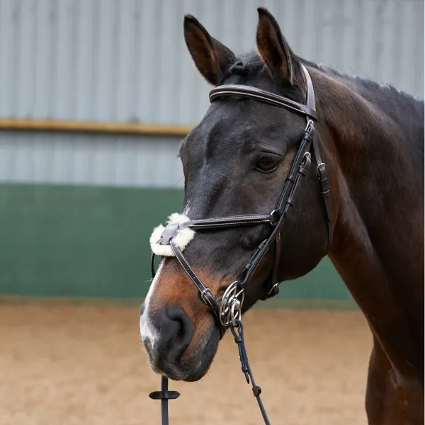 Mexican Bridle With Reins all Sizes with High Quality Tanned Leather Farm Race outdoor sports Stable Manufacturer Wholesale Bulk