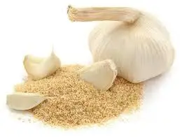 Hot Selling Private Label Garlic Extract Powder Affordable Price Fresh Air Dried Garlic Garlic Powder For sale