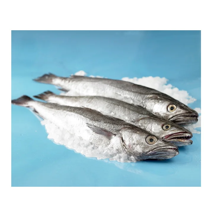 Высококачественные замороженные морепродукты Hake Fish HGT/цельная рыба по низкой цене от производителя из Германии всему миру