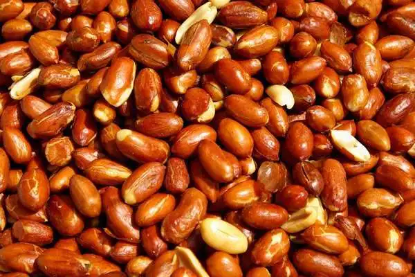 HOT SALE- BEST QUALITY PEANUTS