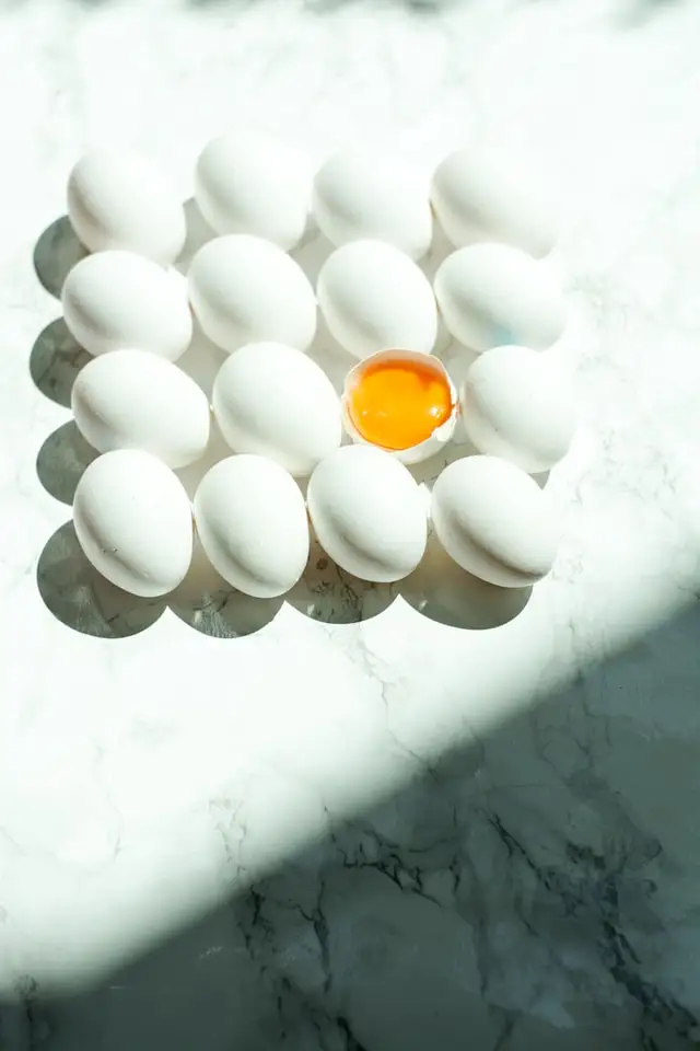 Fresh Eggs