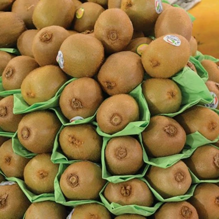 kiwi.jpg