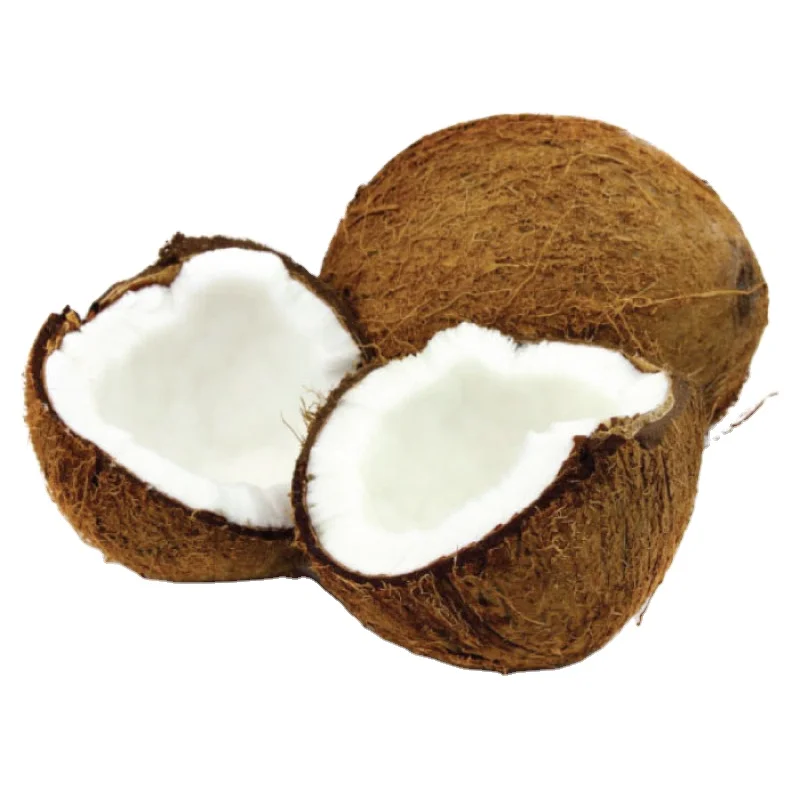 HIGH QUALITY BEST PRICE LOW FAT, MID FAT, HIGH FAT DESICCATED COCONUT FINE AND MEDIUM GRADE +84 83 205 9133
