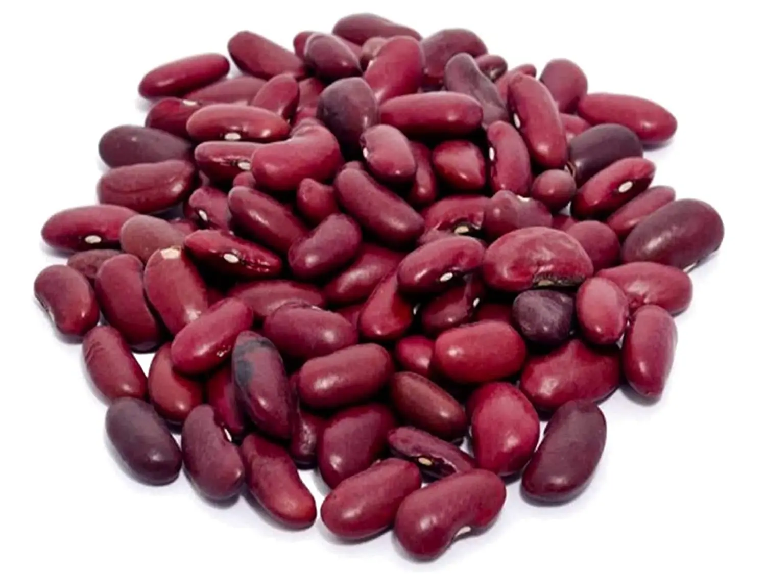 New Organic Purple Dark Red Kidney Beans