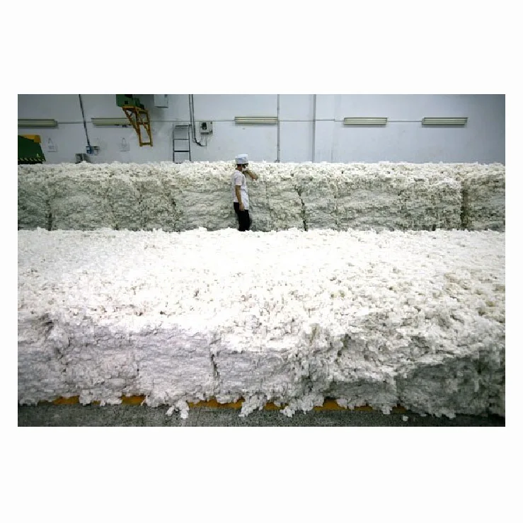 Wholesale 100% Pure Organic Raw Cotton Bales Cheap Price Raw Cotton Linter for Spinning Use
