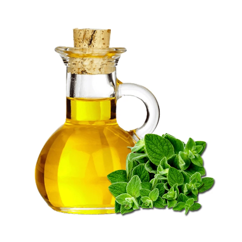 Buy Premium Quality Pure Organic Oregano Oil For Multi Uses Essential Oil Manufacture in India for Supply at Wholesale Prices