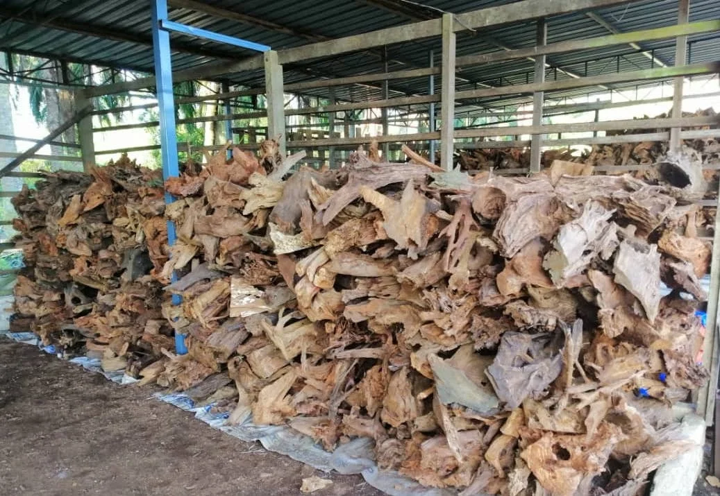 Hot selling Malaysian Driftwood Aquarium & Accessories Tank Decoration Tough Wooden Mangrove Tropical Fish Furniture Lake River