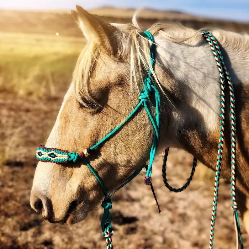 High Quality Hand Tooled Soft Rope Adjustable Horse Halter Matching Lead Big Diamond Braided Overlay At Wholesale Manufacture