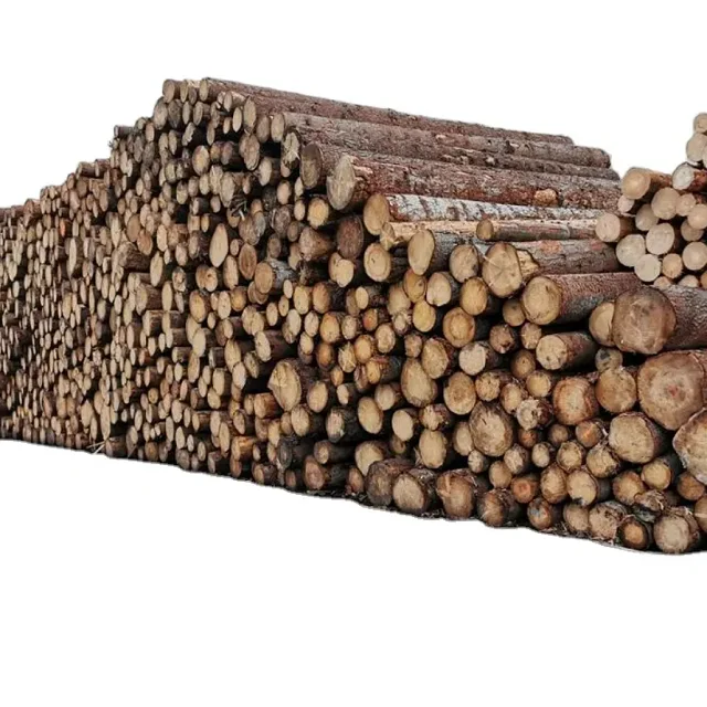 Хорошие продажи соснового дерева, бревна из березового дуба, древесина и древесина эвкалипта, древесные бревна, неочищенная древесина, низкая цена