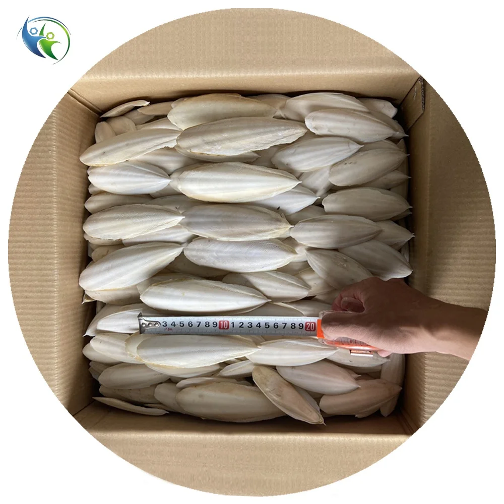 High Quality Dried Sepium  Cuttlebone Sepia Cuttlefish Bone for Parrot