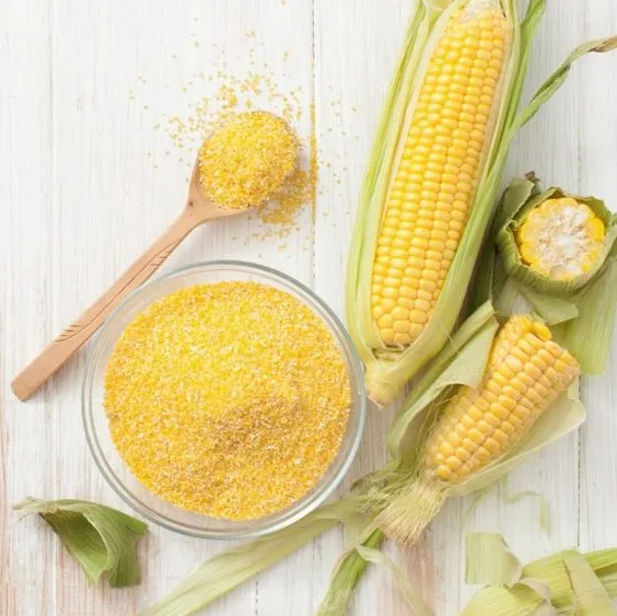 Cheap Price Hot Product Animal Feed Corn Gluten Meal