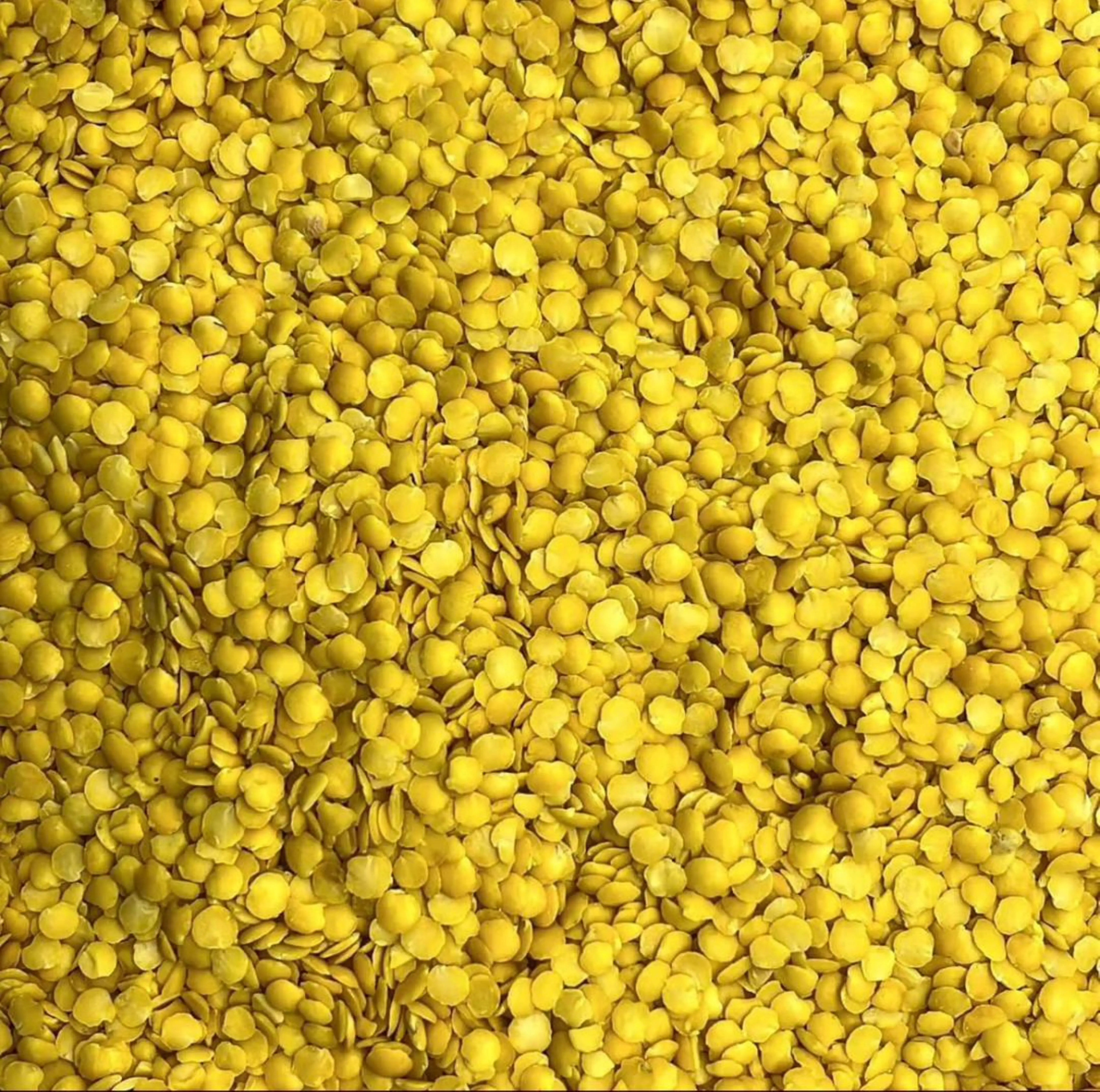 BEST QUALITY YELLOW SPLIT LENTILS AVAILABLE FOR SALE