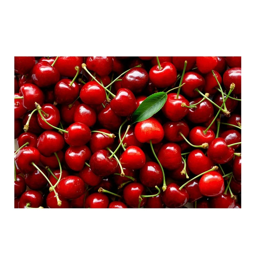 Hot Selling Price Of Organic Fresh cherries For Delivery