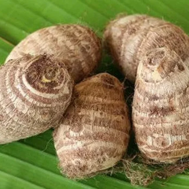 Овощной свежий новый свежий маленький TARO из Вьетнама