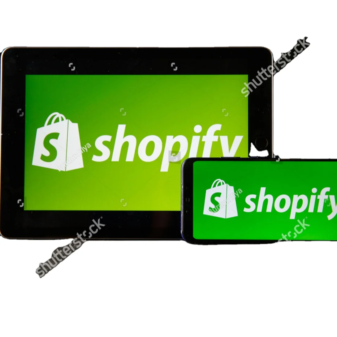 Shopify ecommerce Shopping Website Design and Development in India Website Design Service By two dice web design