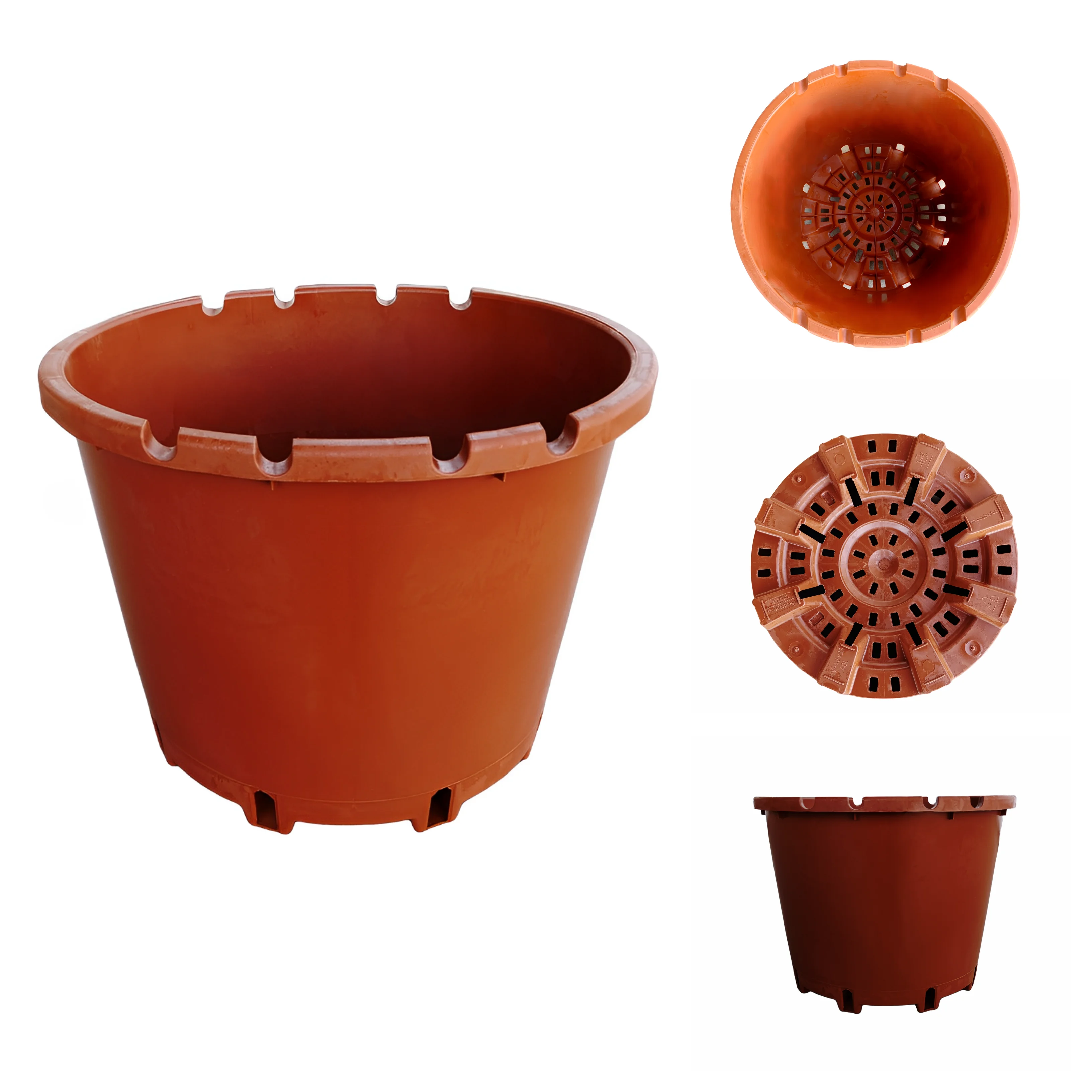 Wholesale Durable Plastic Nursery Pots Berry Series Plants and Flowers Injection Mold Berries Black Terracotta