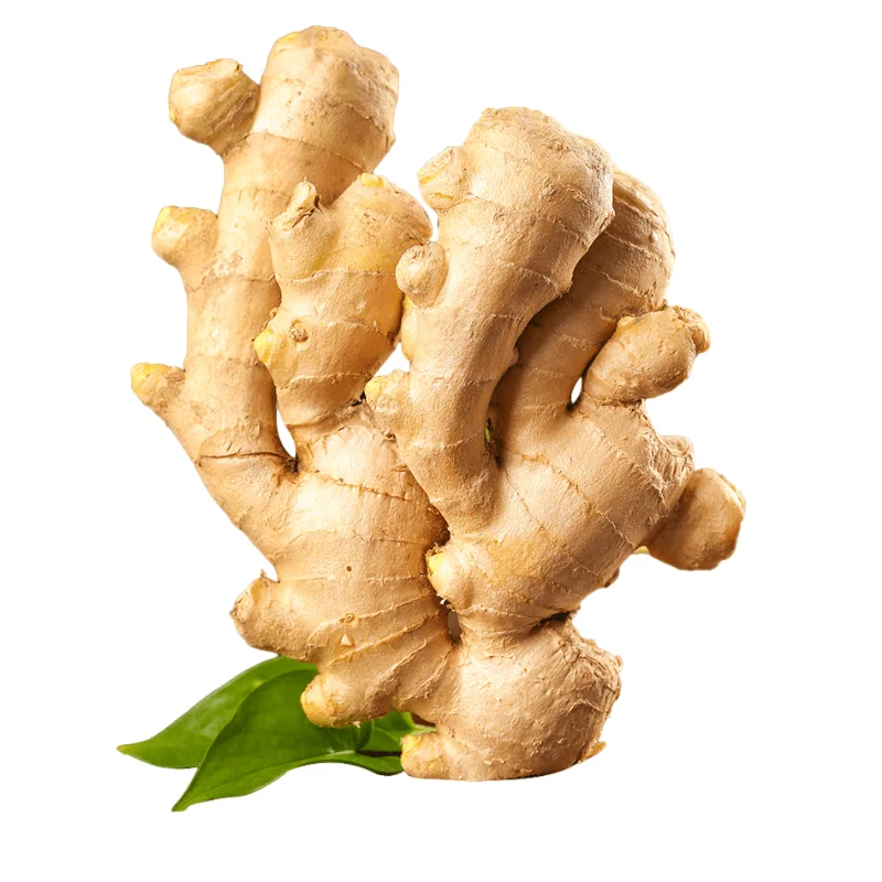High quality of new crop Chinese fresh ginger air dry or dried ginger root market price from organic ginger fresh supplier