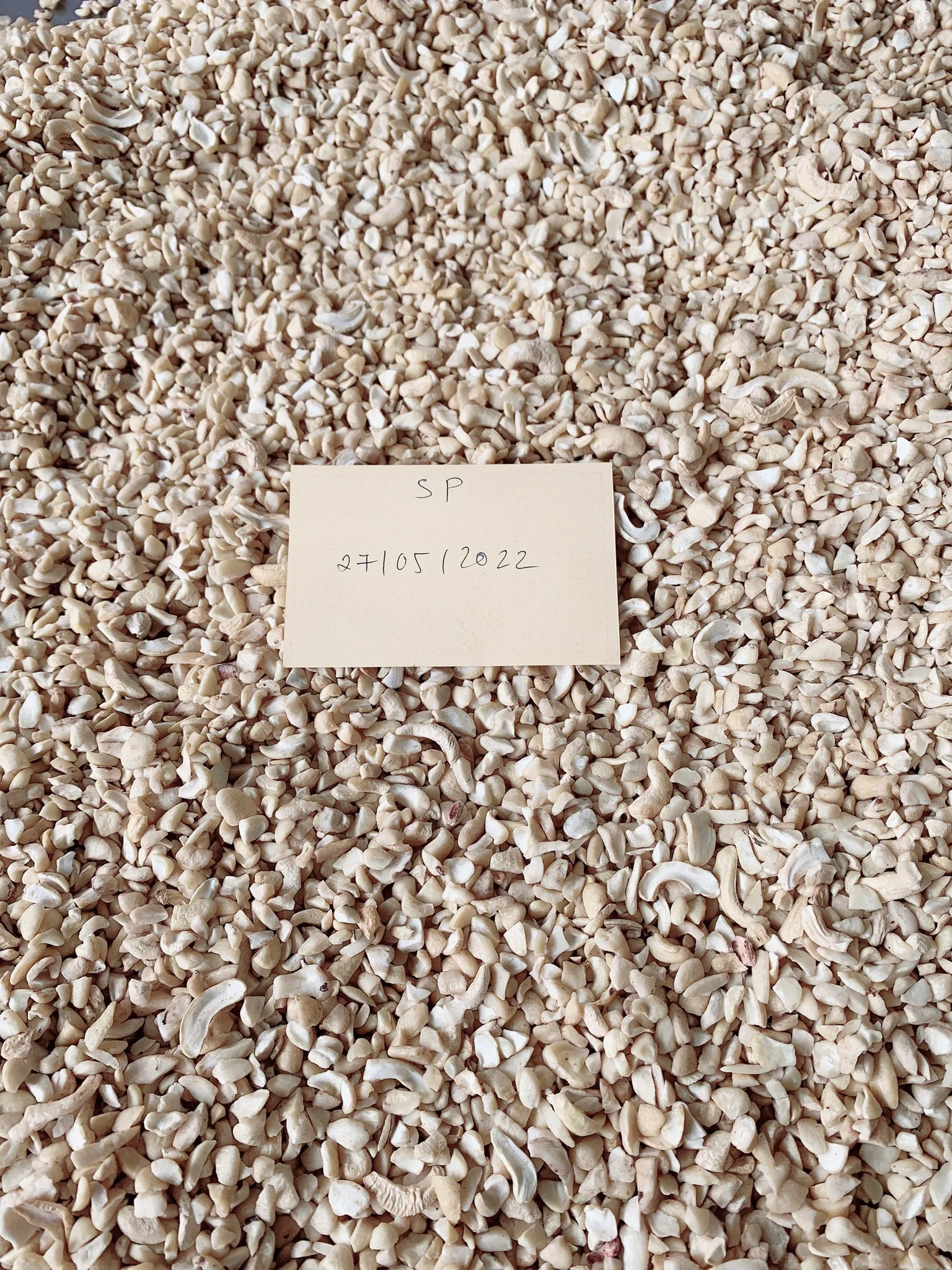 VIETNAM RAW DRY CASHEW NUTS KERNELS - SWP -  small White Pieces grade - Packaging in PE  vacucuum, Tin /Cartons