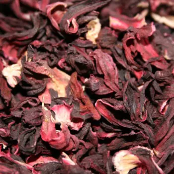 Hibiscus_flower1.jpg
