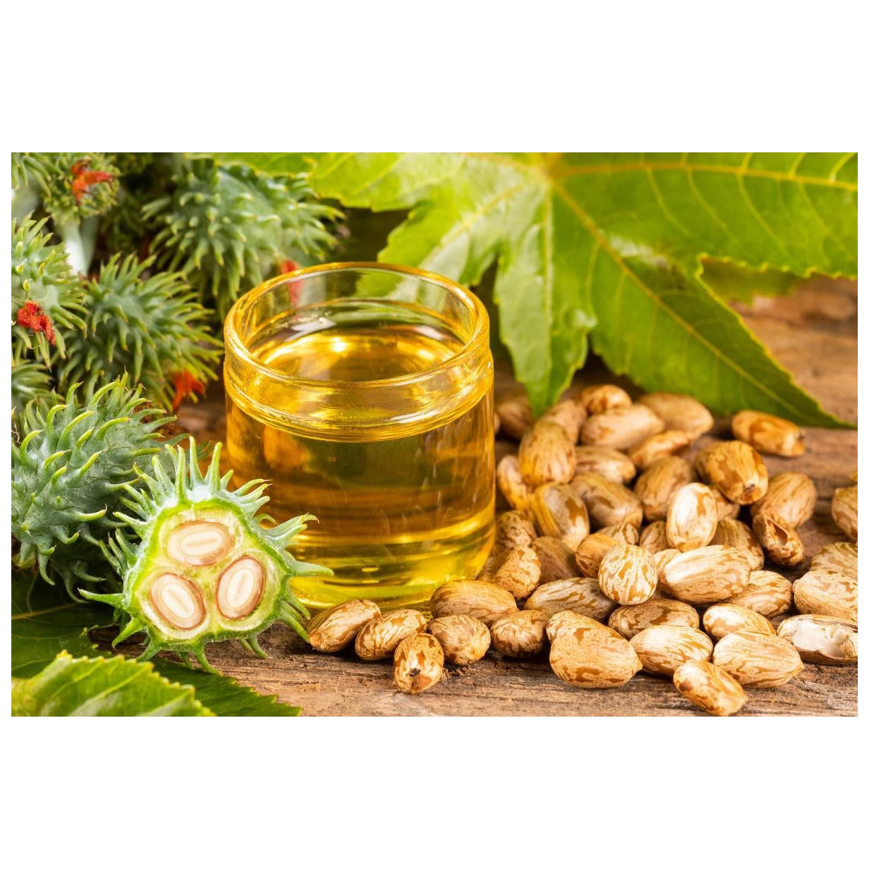 Pure and Refined Castor Oil for Cooking Bulk Sale