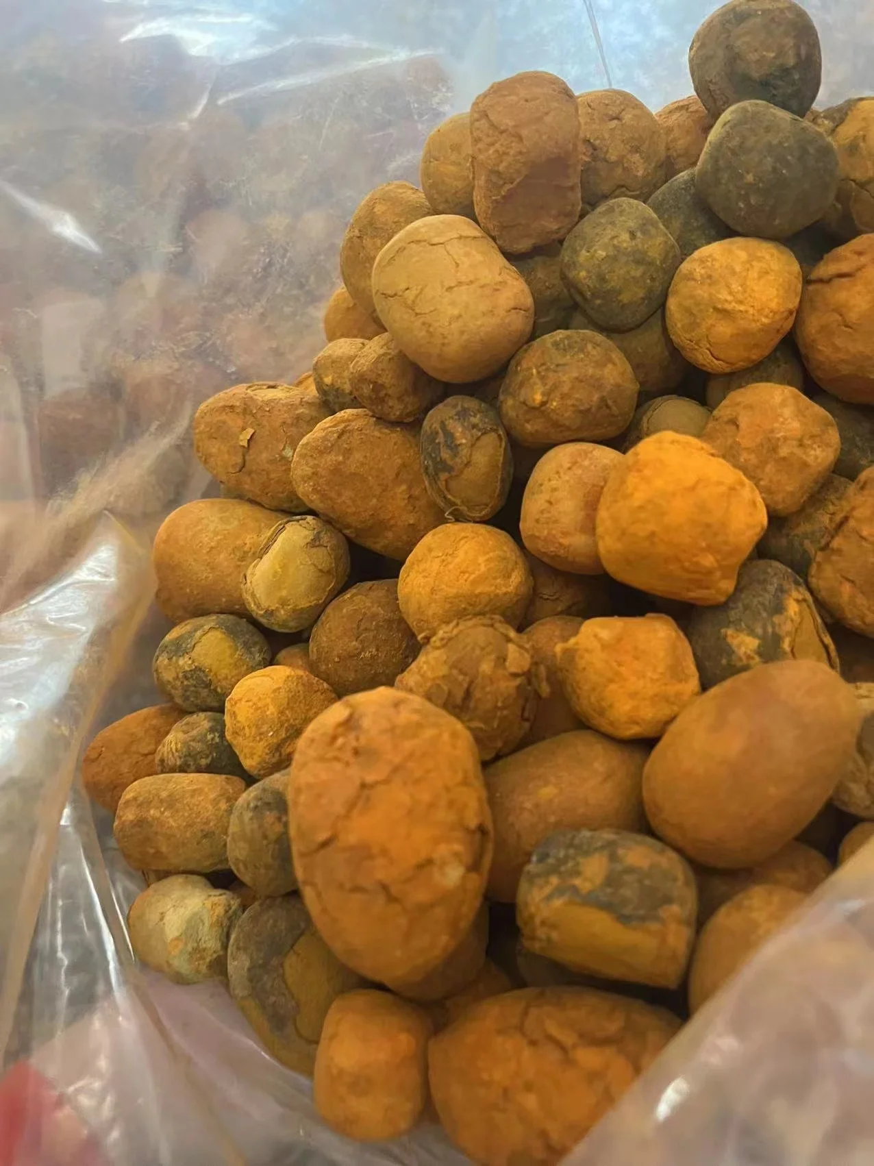 Ox Gallstones Cattle OX Cow Gallstones Buy Cow Gallstones with the best wholesale price