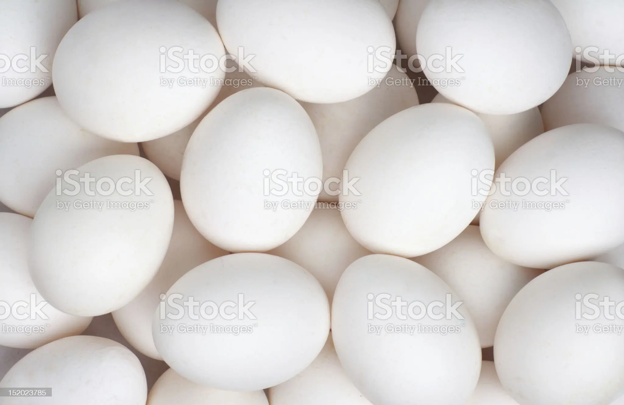 Fresh Gujarati Eggs
