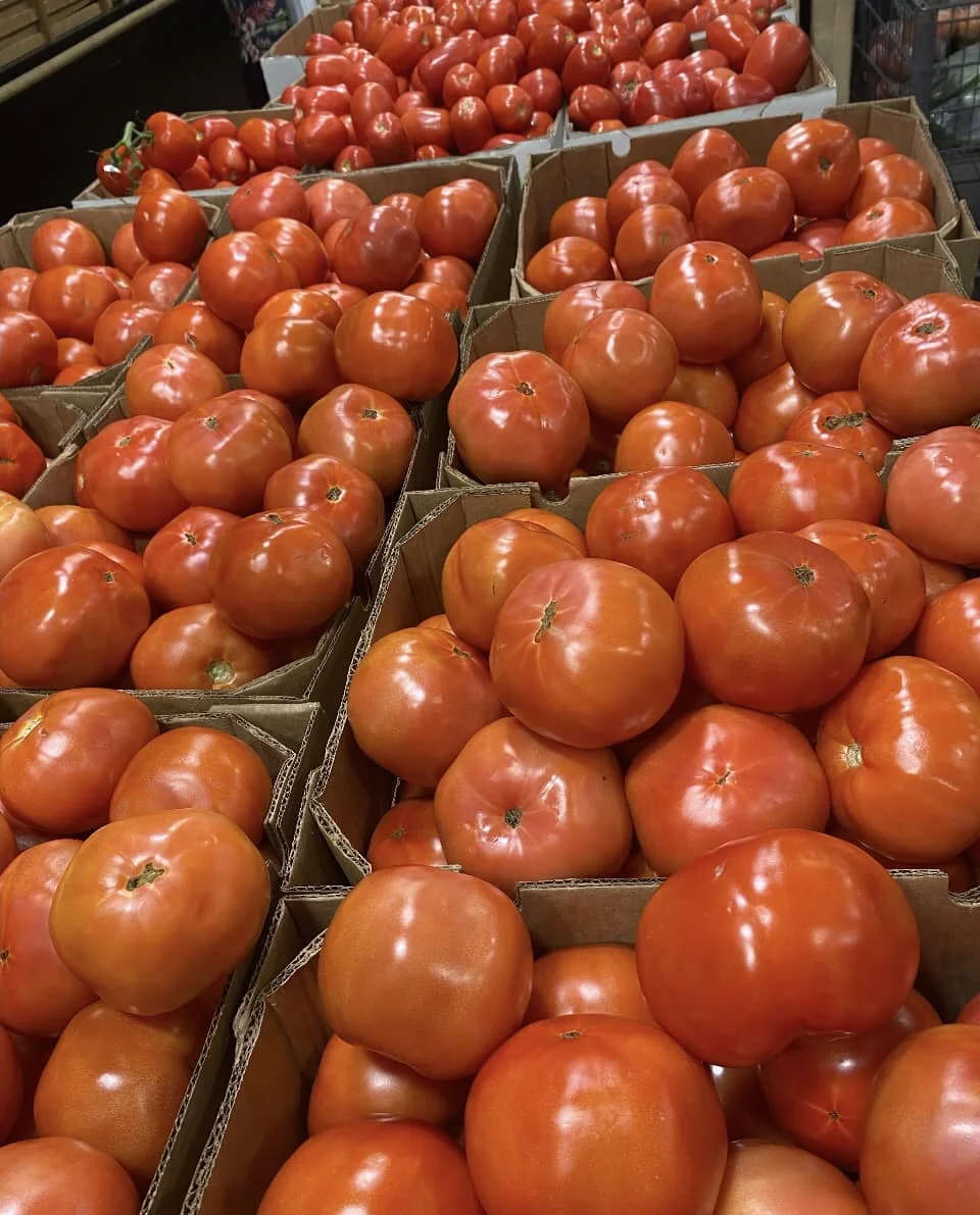 Red Tomato High Quality Huge Quantity Available Red Tomato