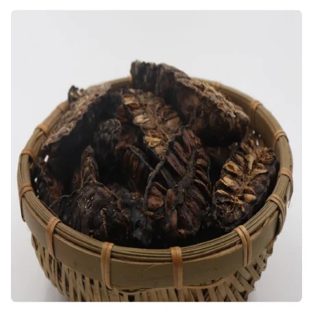 TOP VIETNAMESE PROVIDER OF DRIED NONI FRUIT - COMPETITIVE PRICING FOR BULK ORDERS