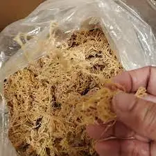Пренимум поставка из Вьетнама сухое натуральное сырье Chondrus crispus/морские