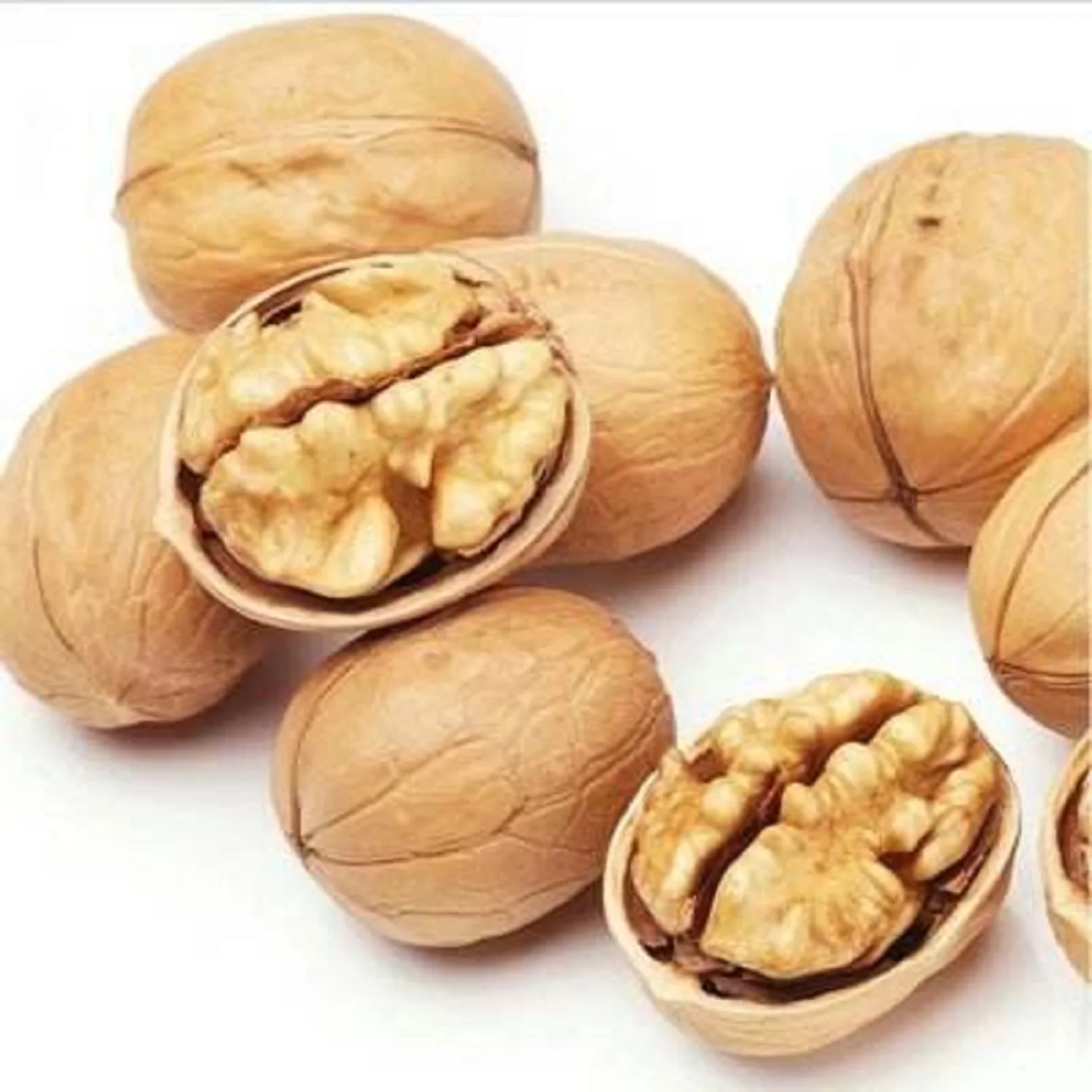 USA thin-shell walnut kabuklu ceviz dried fruit walnut kernel walnuts