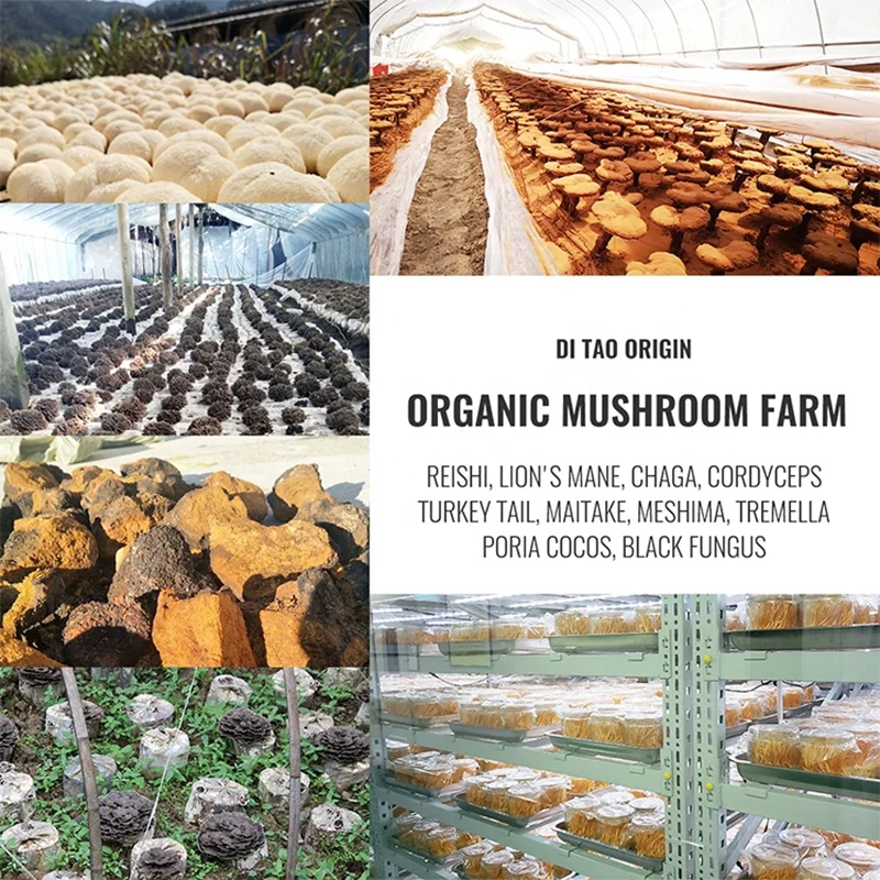 Cheap Price Black Raspberry Fruit Juice Extract Powder Organic Blue Black Freeze Dried Raspberry Powder