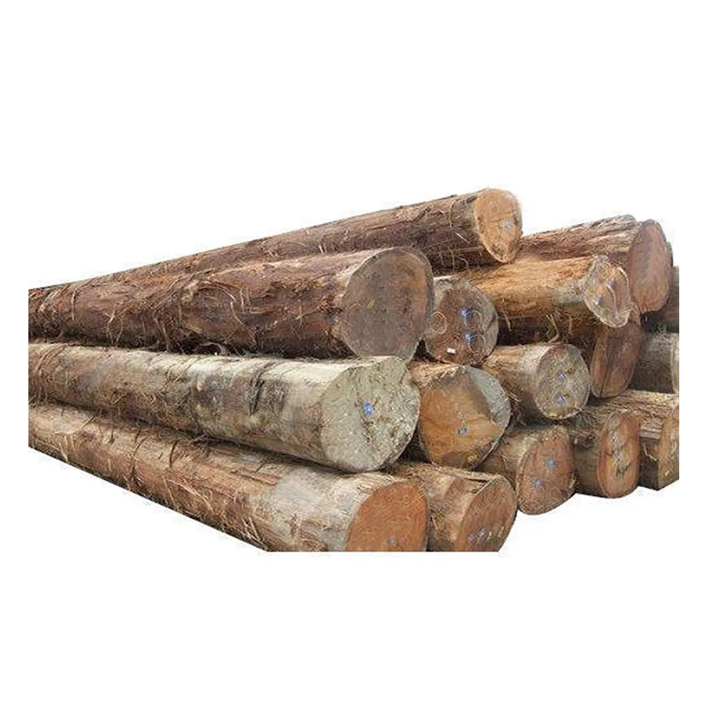 wholesale Prices Teak Wood Logs and Tropical Timber Logs