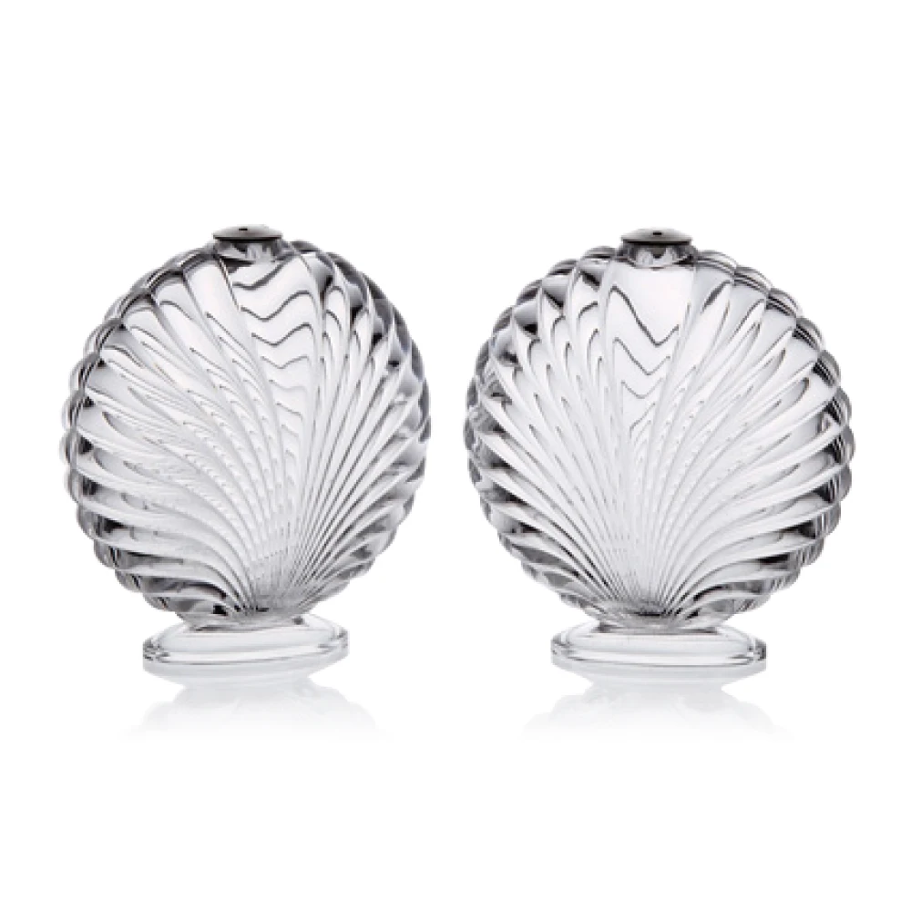 Hot Sale Clear Acrylic Spice Shaker Seashell Salt and Pepper Set