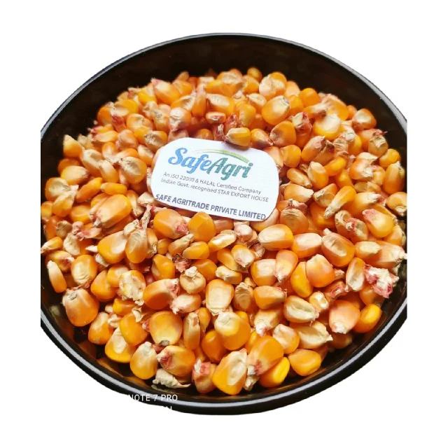 Yellow Corn of Superior Quality from IndiaPremium Grade Maize with 14% Max Moisture and AD Dried Yellow Colour for Animal Feed