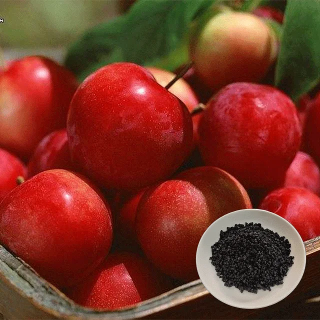 hot sale 100% water soluble organic fertilizer potassium humate granule