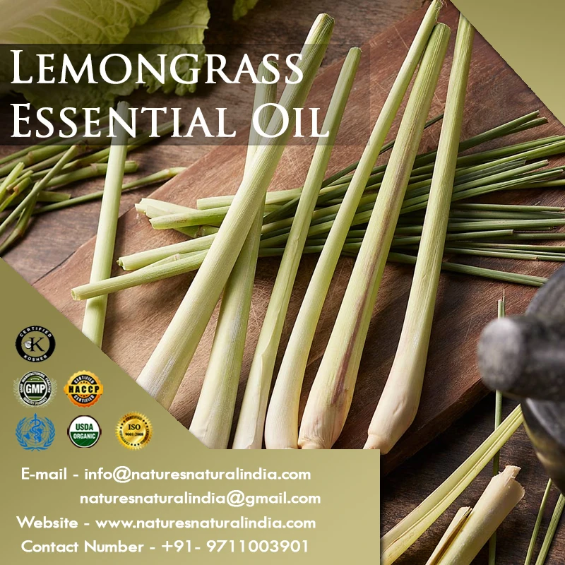Factory Supply Natural Lemongrass Essential Oil for Aromatherapy Diffuser Cosmetic Additive and Candle Making