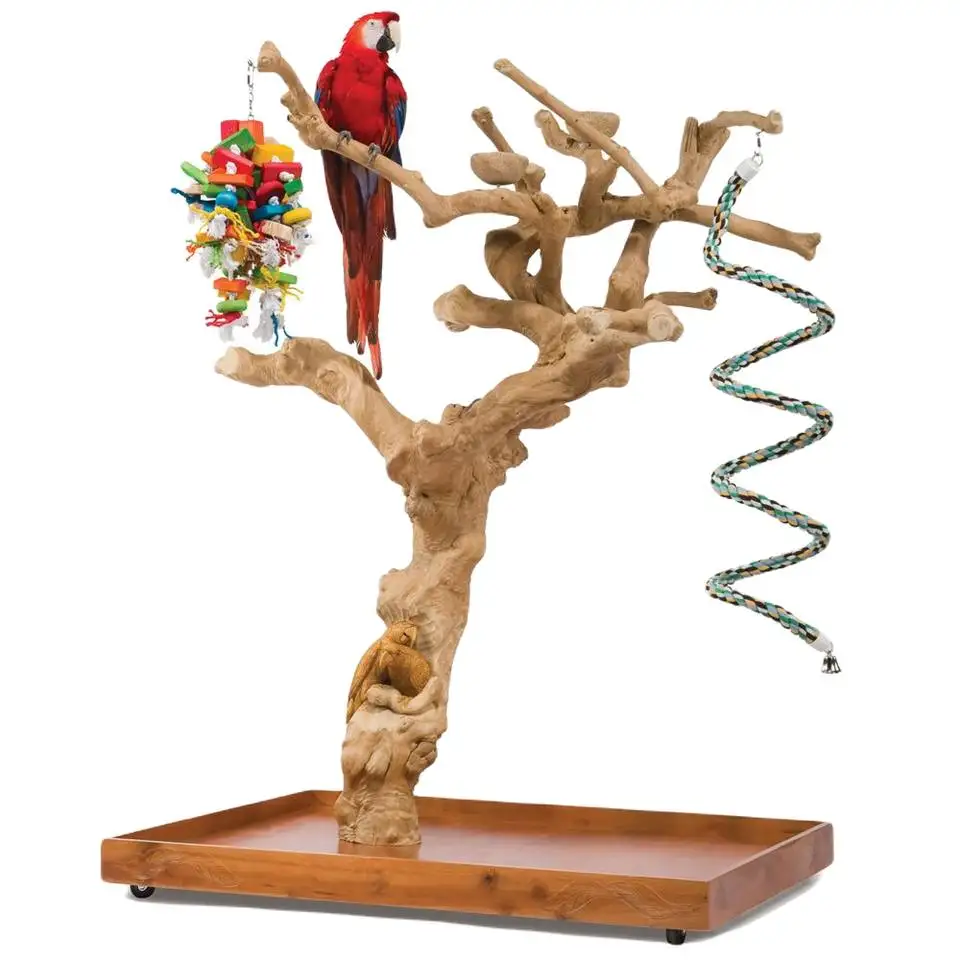 Java wood Coffee wood parrot bird perch tree Parrot Playstand Bird Toys for Parrot Raw Wood Fork Tree Branch Kimy +84938616690