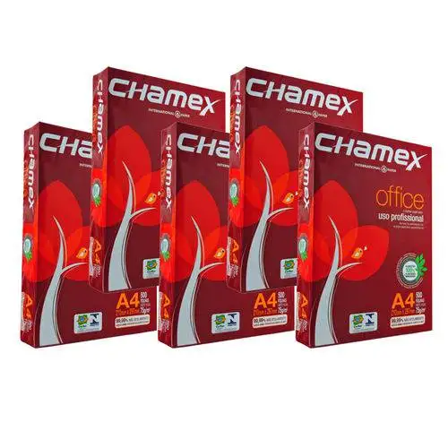 Chamex Copy Paper A4 Size 80 gsm 5 Ream/Box