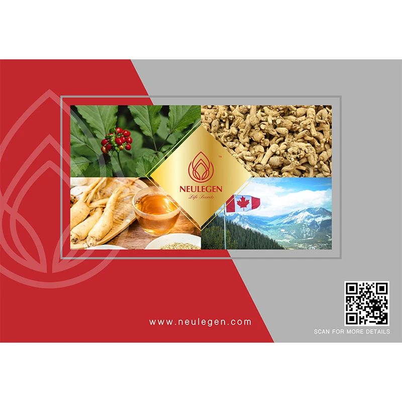 Private Label Premium Ginseng Health Herbal Tea Bag Aids in Auxiliary Hypoglycemic Bulk Sale from Malaysia Supplier
