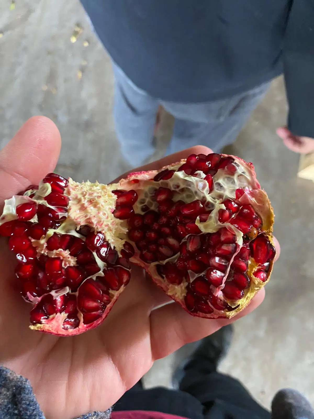 Dark Red Colour %100 Organic Fresh Turkish Number 1 Quality  Juicy Sweet Fresh Red Pomegranade Best Quality In Turkey