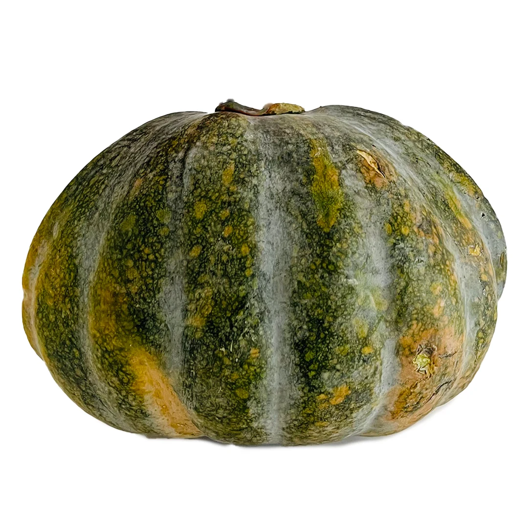 Smooth Skin Fresh pumpkin Bulk Wholesale Seller Fresh Pumpkin Best Quality Vegetables Exporter